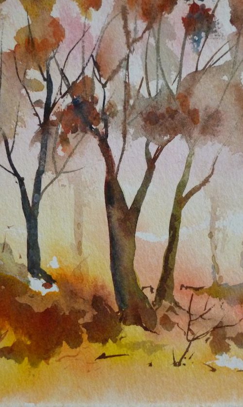 Autumn Colour by Maire Flanagan