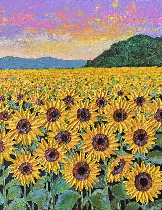 Sunflowers field at sunset