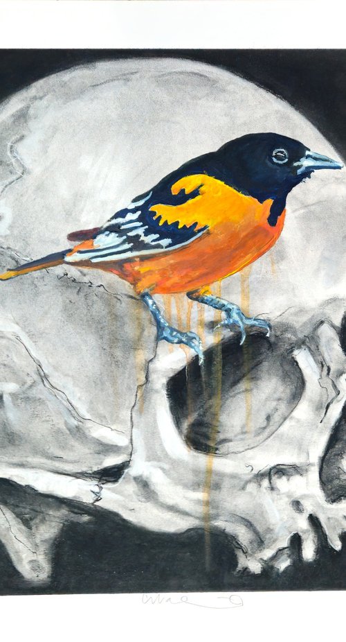 Second Skull First Lady by Shelton Walsmith