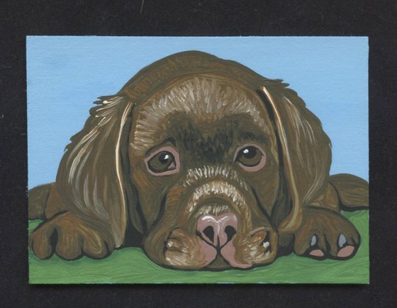 ACEO ATC Original Miniature Painting Labrador Retriever Puppy Pet Dog Art-Carla Smale