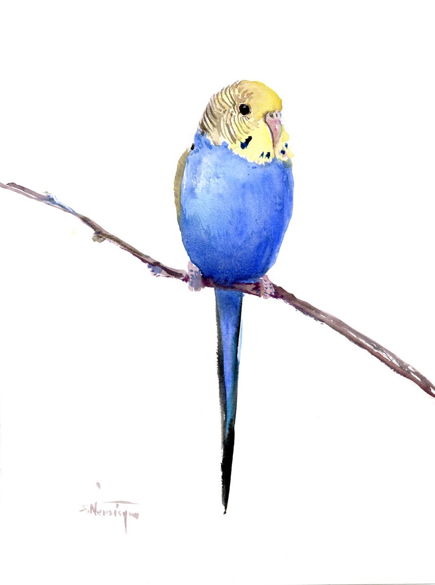 Budgie, blue Parakeet painting by Suren Nersisyan