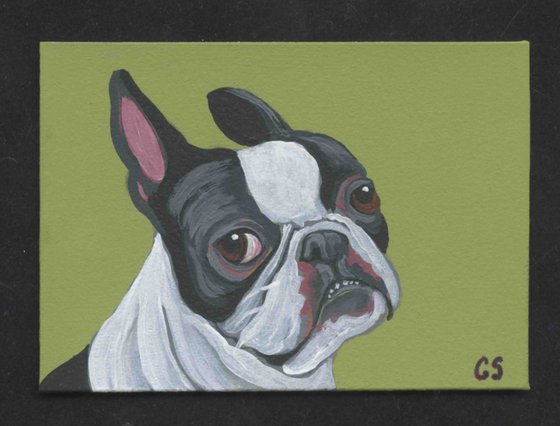 ACEO ATC Original Miniature Painting Boston Terrier Pet Dog Art-Carla Smale