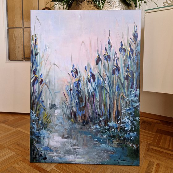 Blue Irises at Dawn