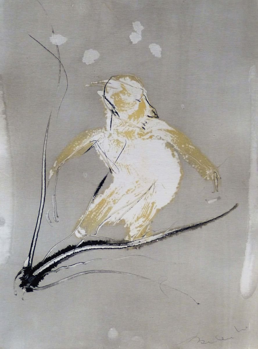 The vague bird 1, 21x29 cm by Frederic Belaubre