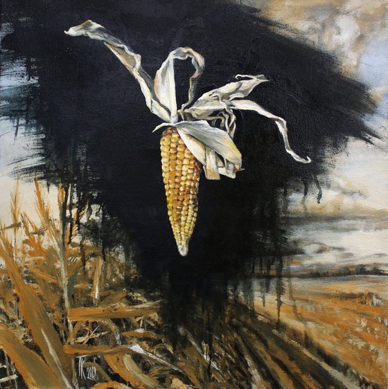 Dance or born in the field