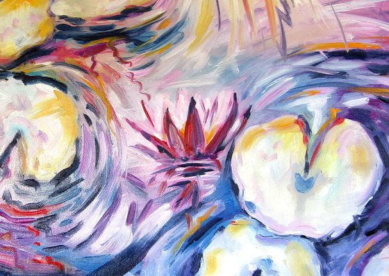 Colorful water lilies III