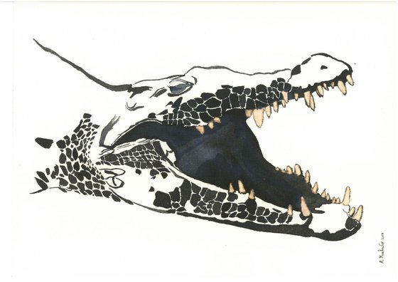 Crocodile I Animal Drawing