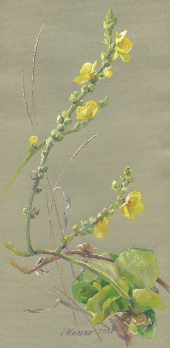 The summer last flowers on olive green paper / ORIGINAL watercolor painting ~8x16,5in (21x42cm)
