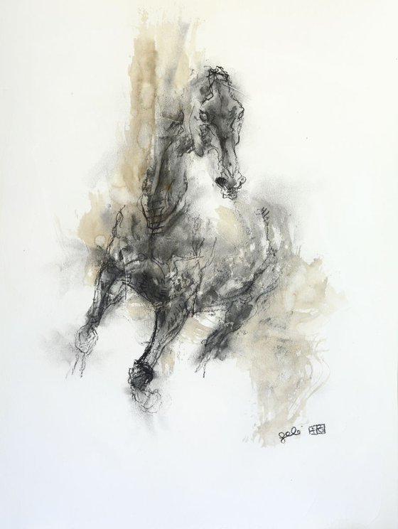 Equine Nude 70t