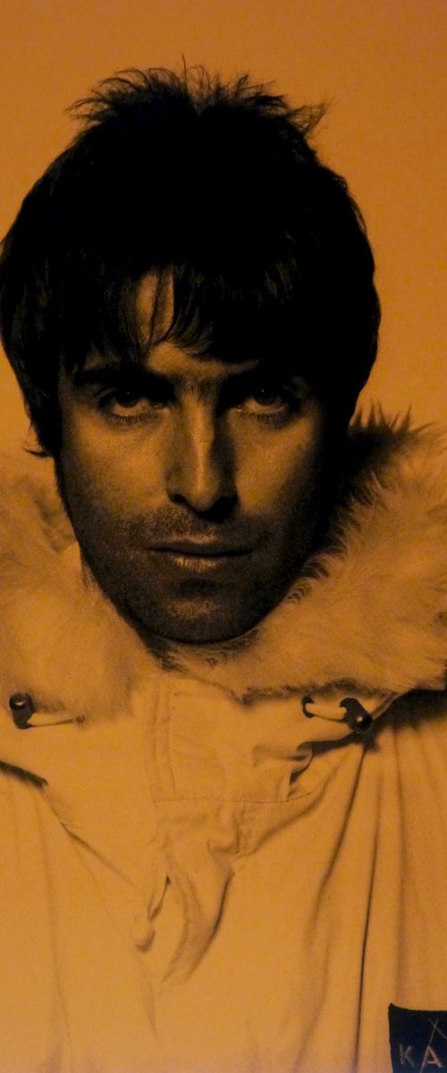 Liam Gallagher-Copper by David Studwell