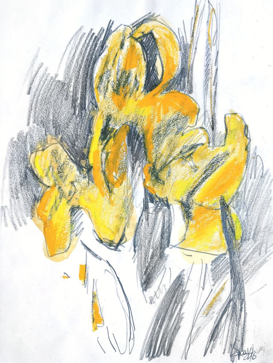 Yellow Irises #3 sketch by Daria Yablon-Soloviova