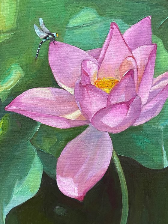Lotus pink flower