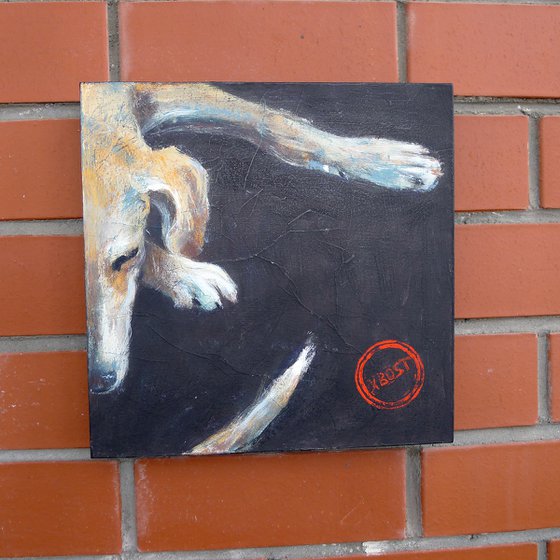 Ears, paws and tail.