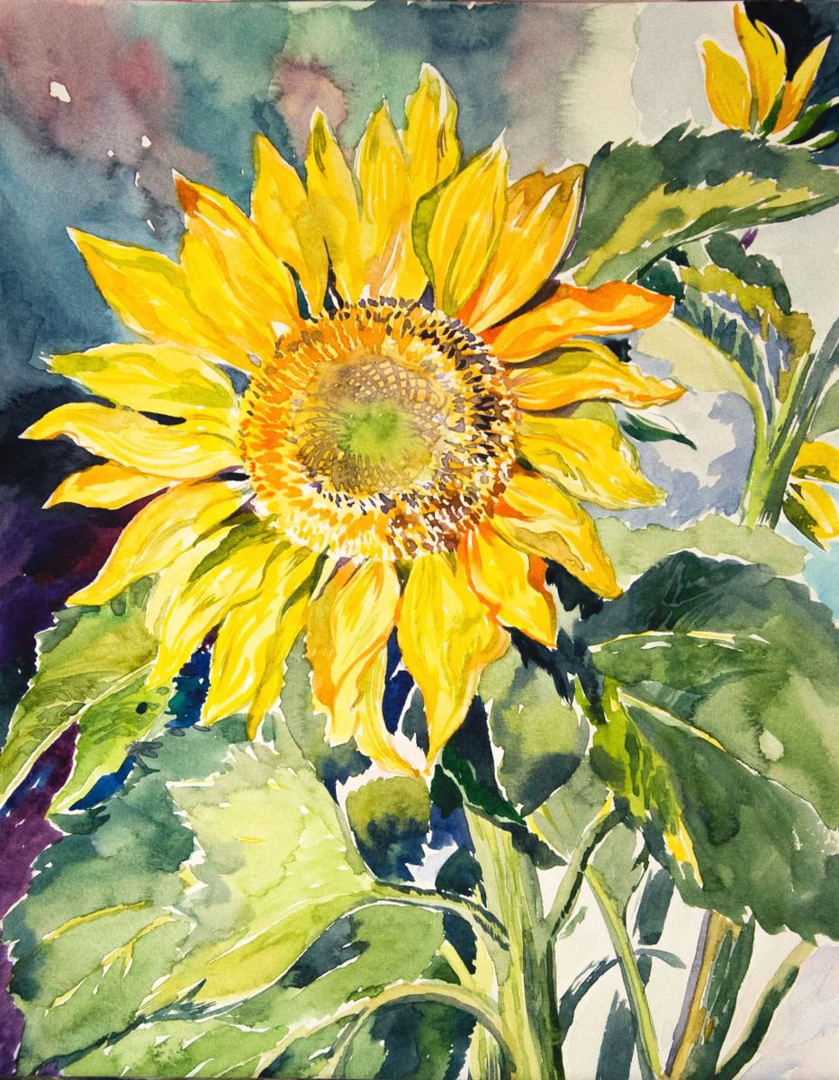 Impressionistic Botanical Watercolour By Daria Galinski, 9 X 13, Sunflower Watercolor, Original Artwork