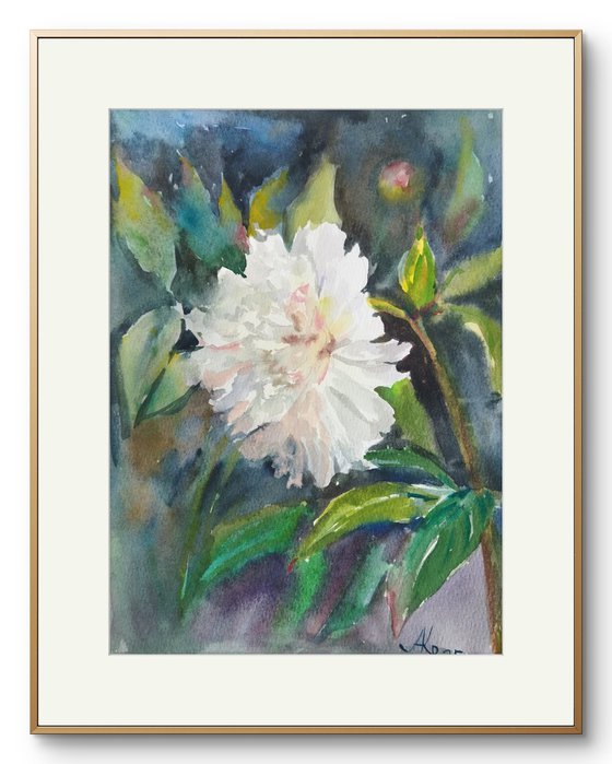 White Peony Glow