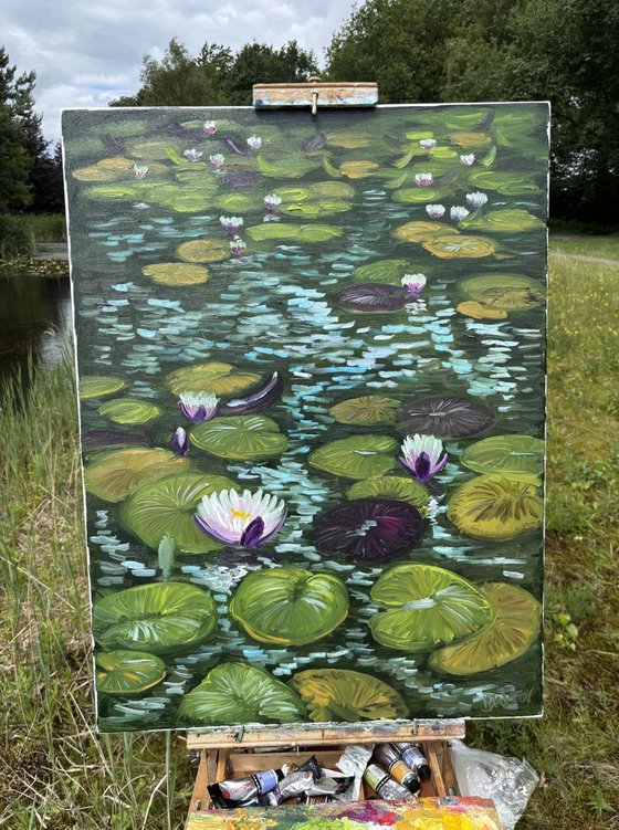 Water Lilies in the Sunlight