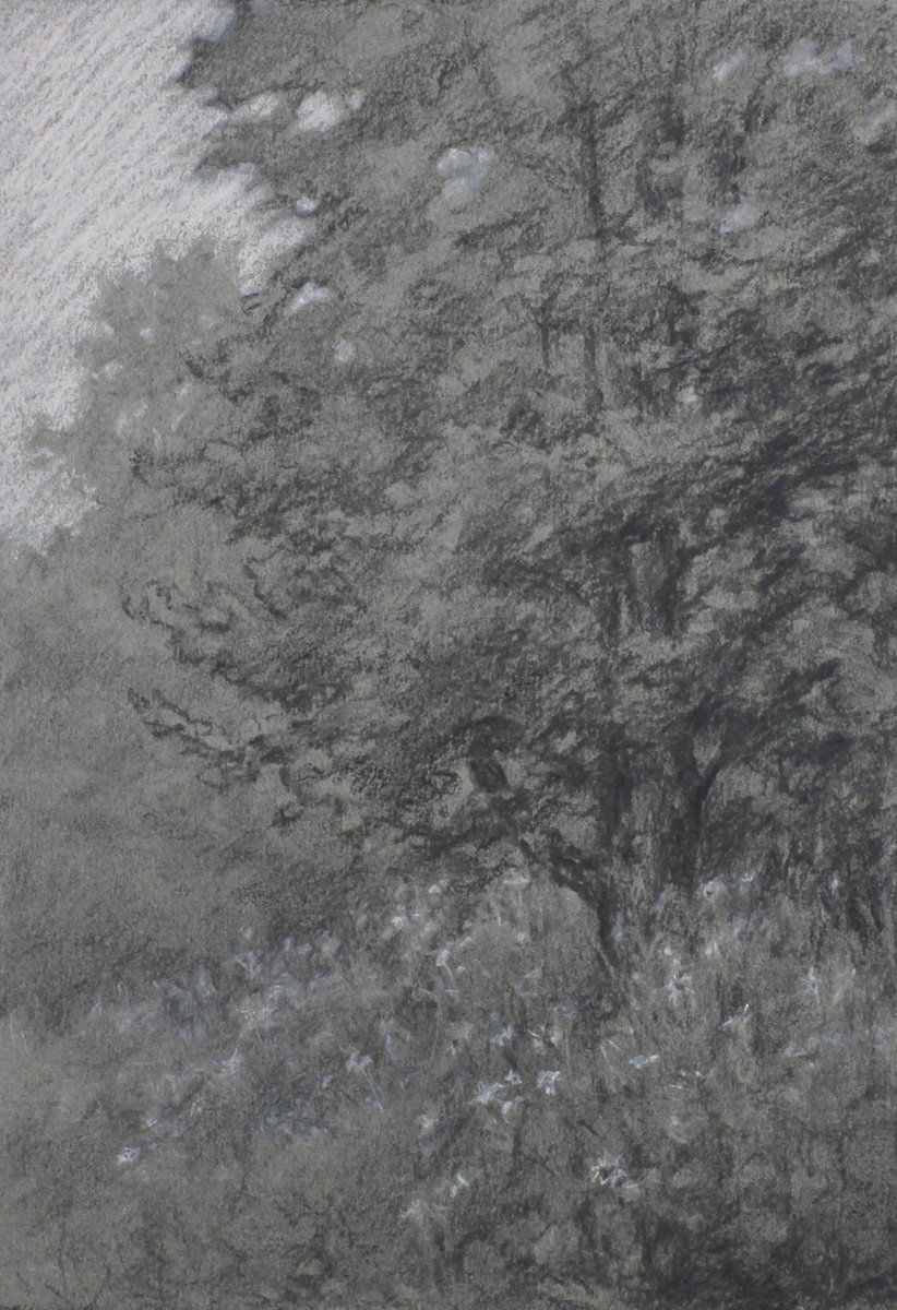 Expressive Landscape Charcoal Drawing By John Fleck, 10 X 13, Dupage River Tree, Original Artwork
