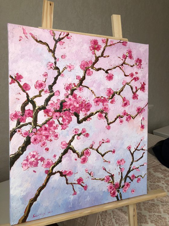 Cherry blossom