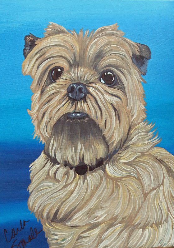 Morkie-Dog Art Original Painting 12 x 16 Inches-Carla Smale