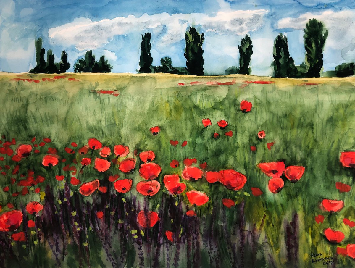 Poppies field by Nadya Larionova