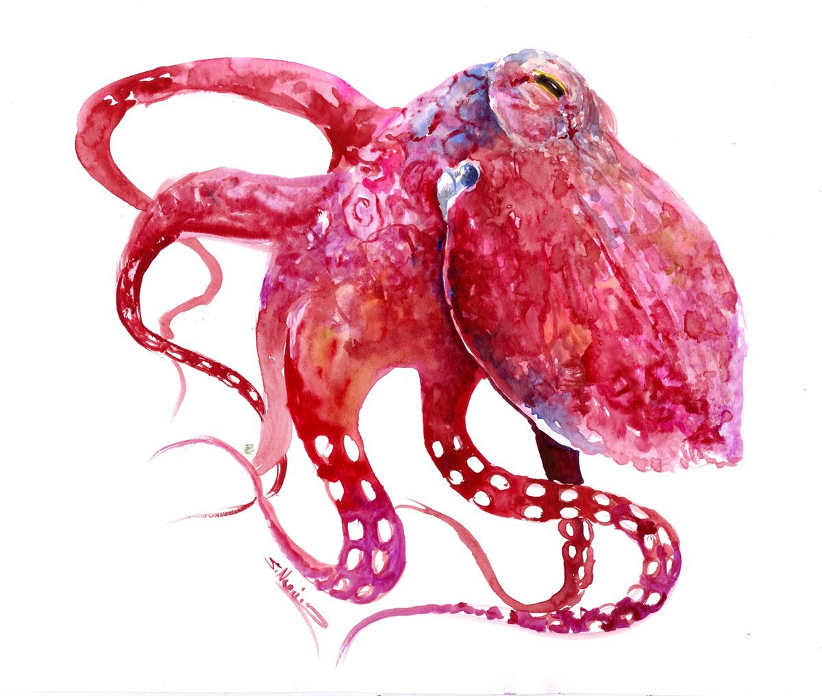 Bright Pink Octopus by Suren Nersisyan