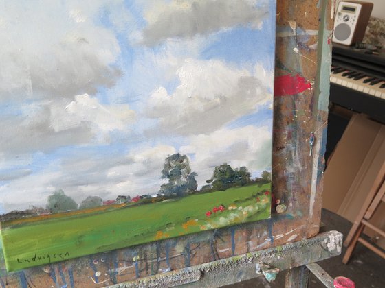 Midsummer Meadow