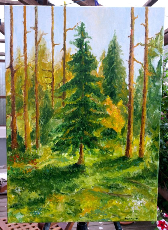 Summer Forest
