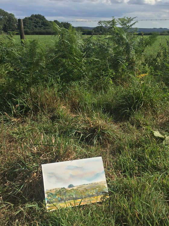 Wingreen, highest hilltop in Wiltshire and Dorset