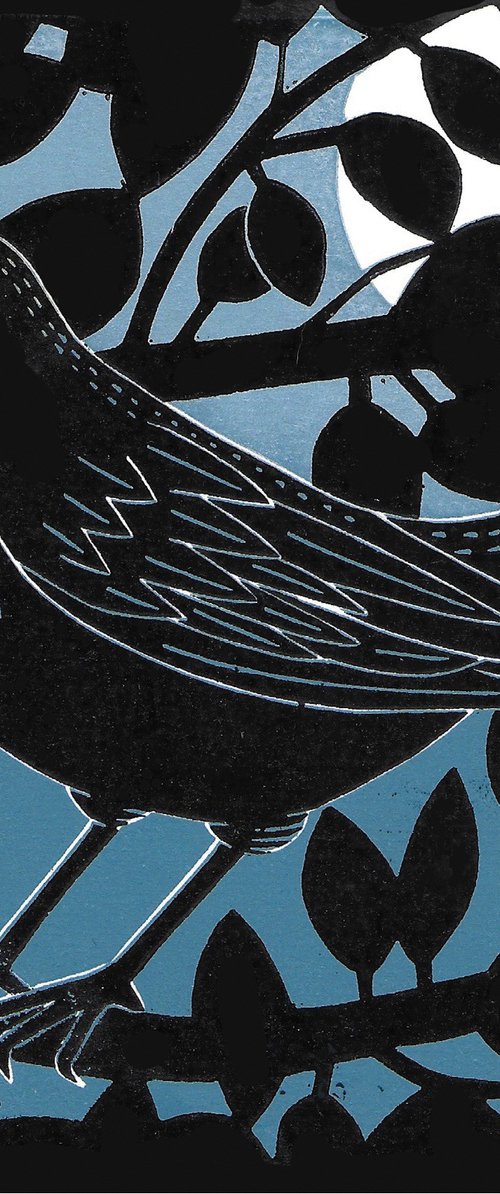 Night Song by Amanda Ribbans