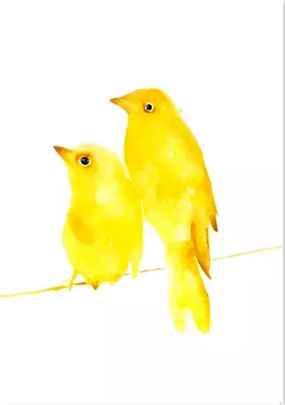 Birds