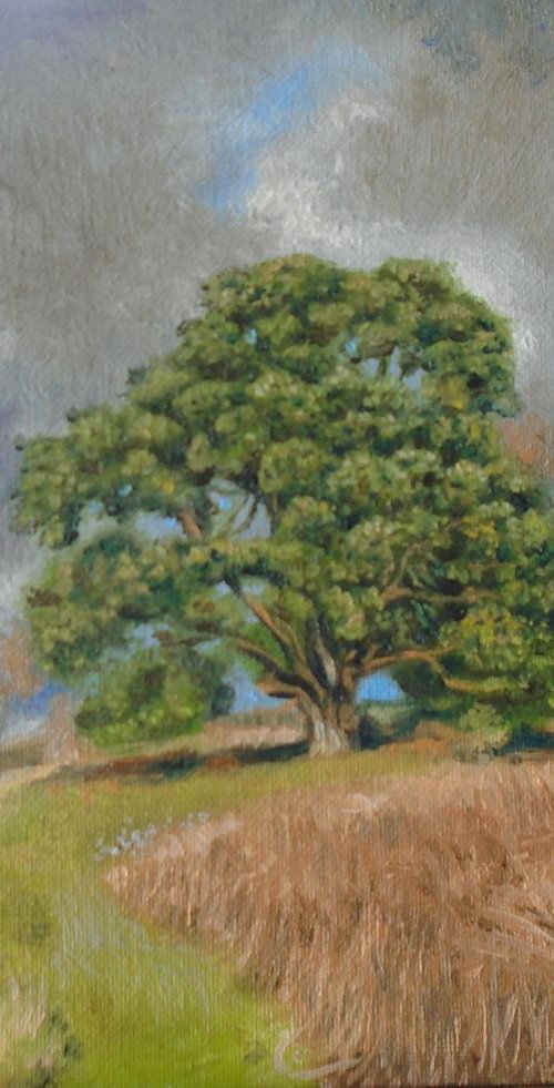 Teesdale tree 1 SOLD by Michael Mullen