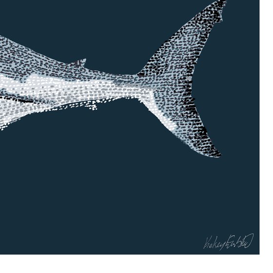 Great White Shark - Stippling Illustration