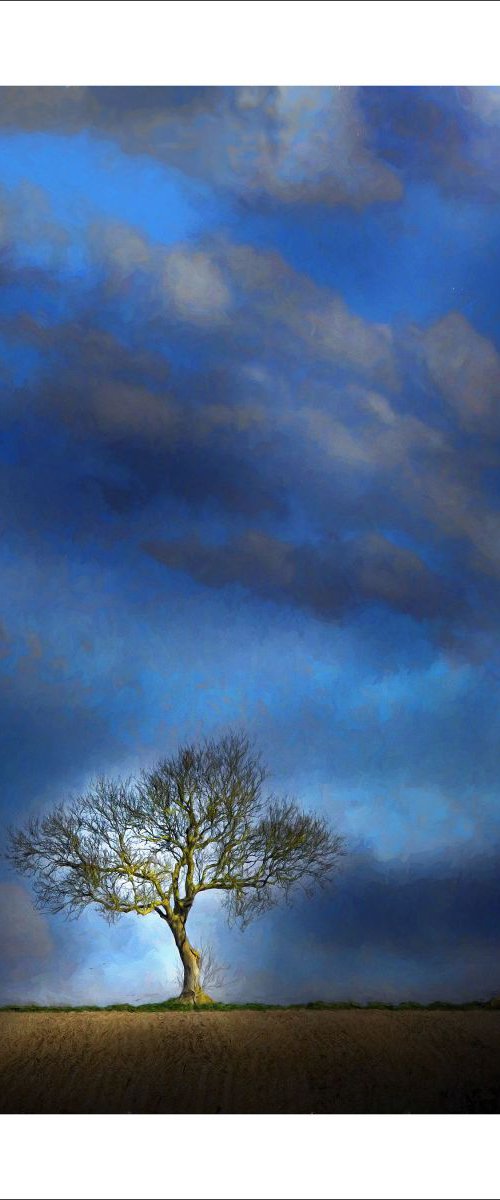 Sunlit by Martin Fry