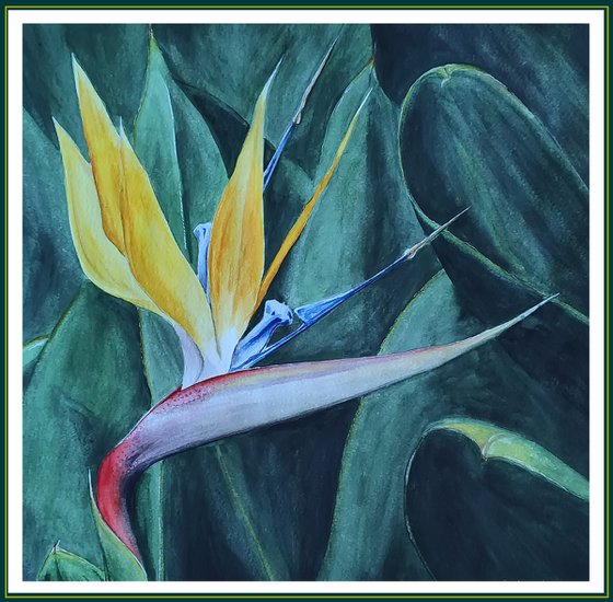 Bird of paradise. Yellow flower watercolor painting by Svetlana Vorobyeva