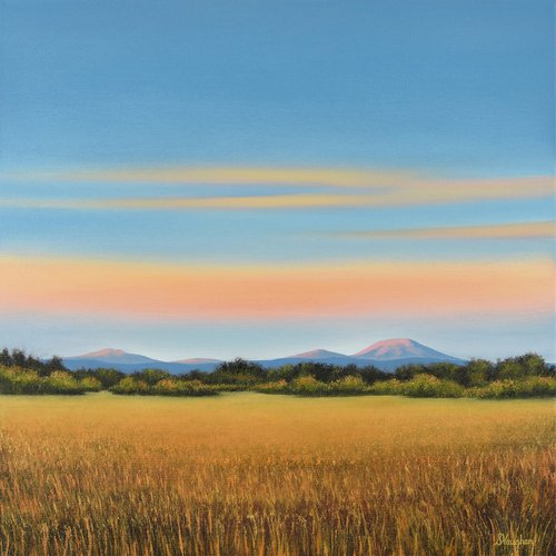 Distant Mountains - Blue Sky Golden Field Landscape by Suzanne Vaughan
