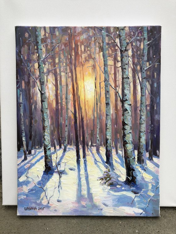 Winter forest. Birches