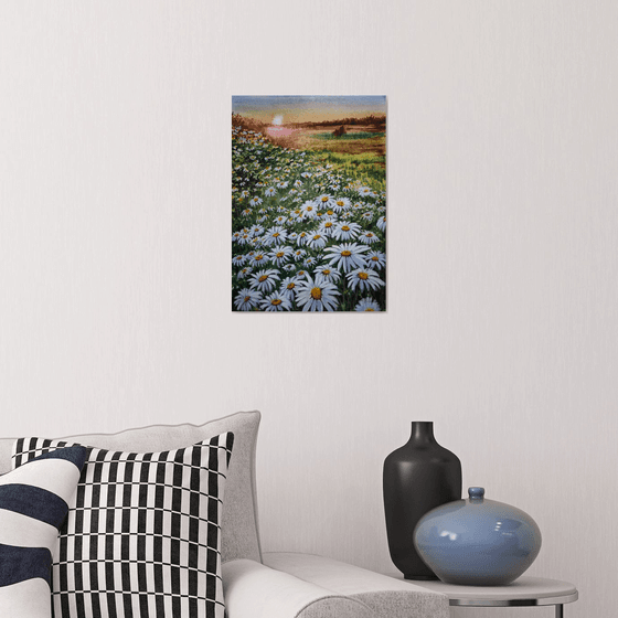 Chamomile field