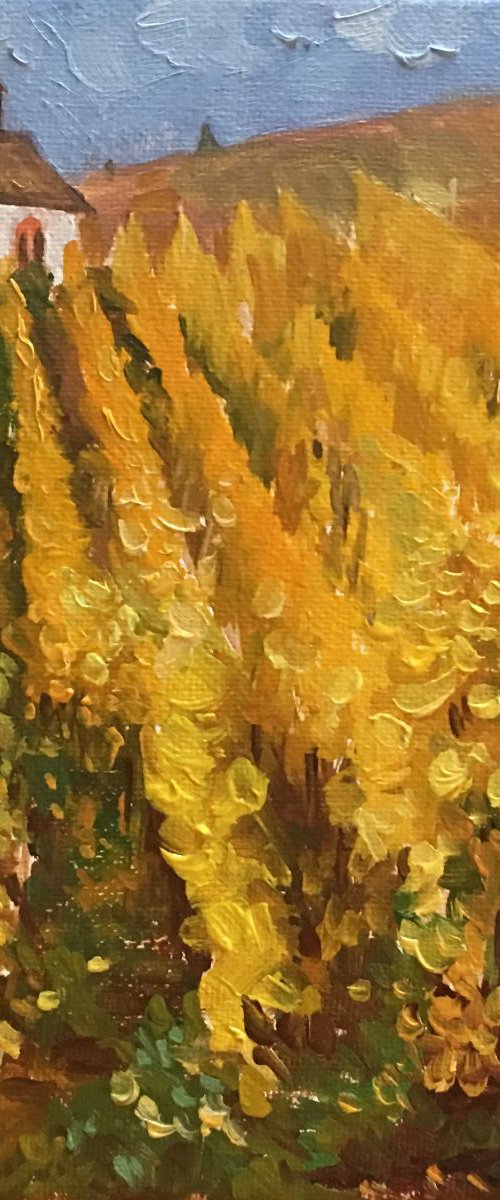 Grape Field in Autumn by Ling Strube