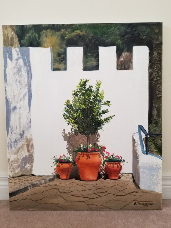 Spain Street Wall With Potted Flowers. Guadalest Castle, Spain.