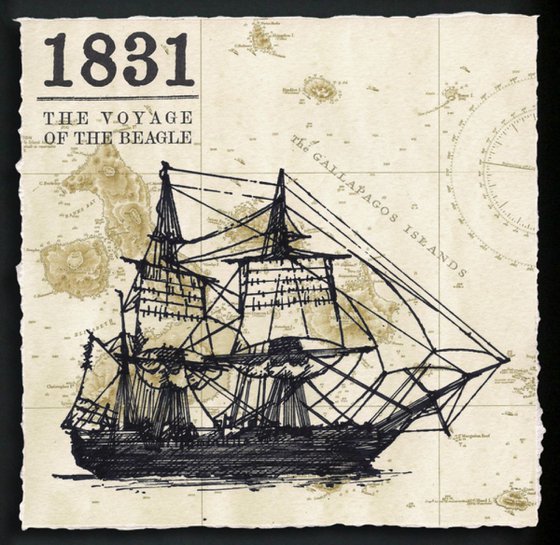 1831 - The Voyage of the Beagle