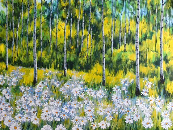 Daisies and birches