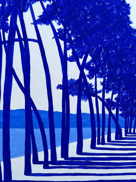 Armand s Walker