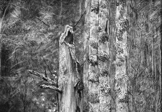 Dead tree
