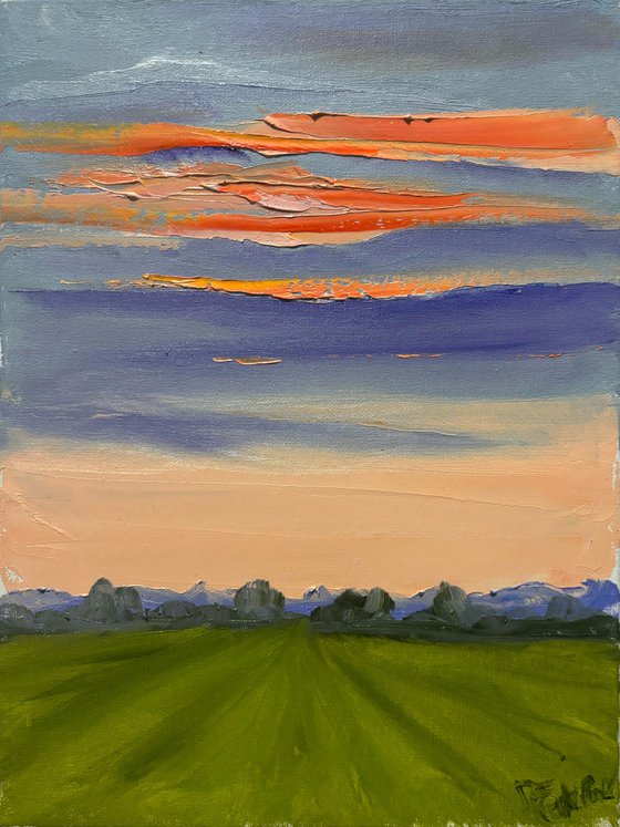 Sunset over the field. Plein air