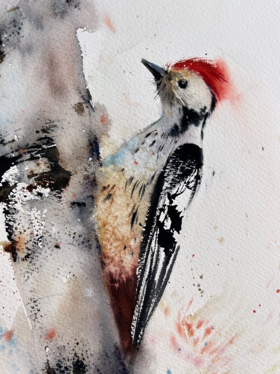 Woodpecker on a tree