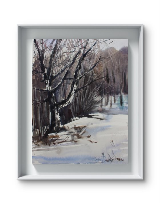 Winter landscape