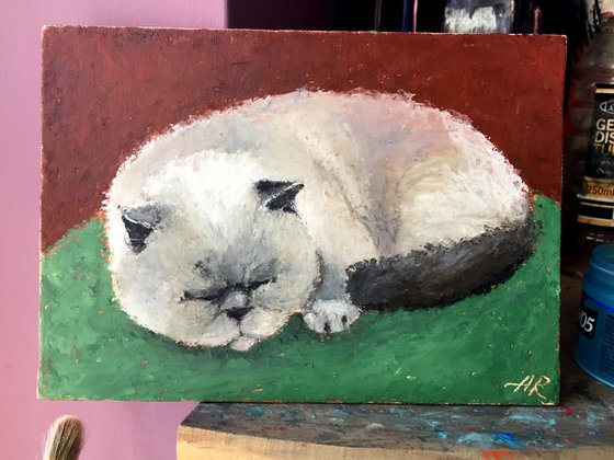 Caught Napping. Cats,Animals,Portrait, Oil,Pastel.