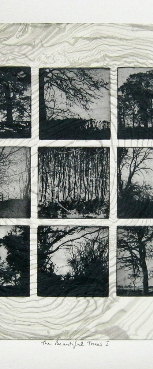 The Beautiful Trees No.1 by Aidan Flanagan Irish Landscapes