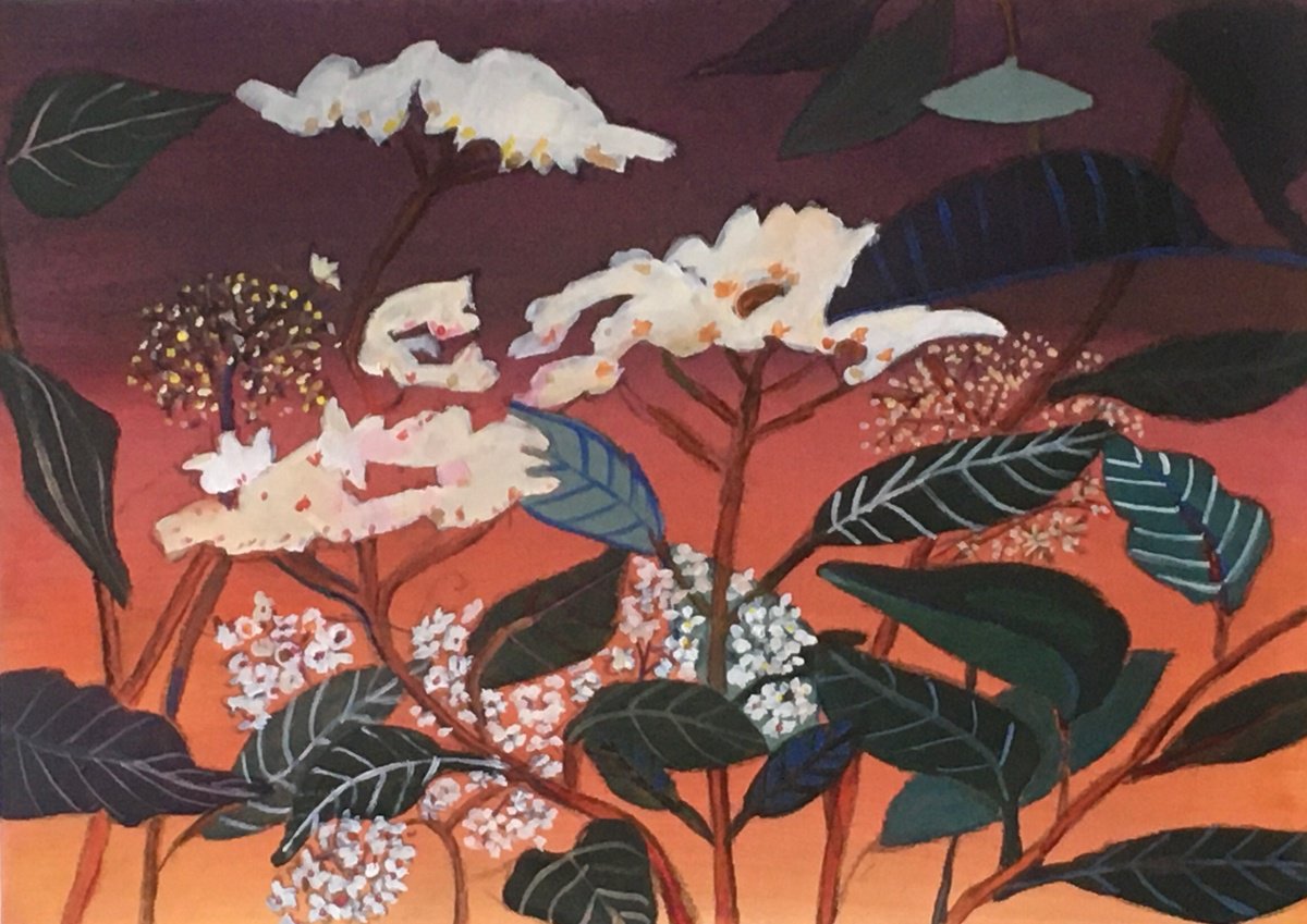 Impressionistic Botanical Acrylic Painting By Chihiro Kinjo, 17 X 11, Elderflower-2, Original Artwork