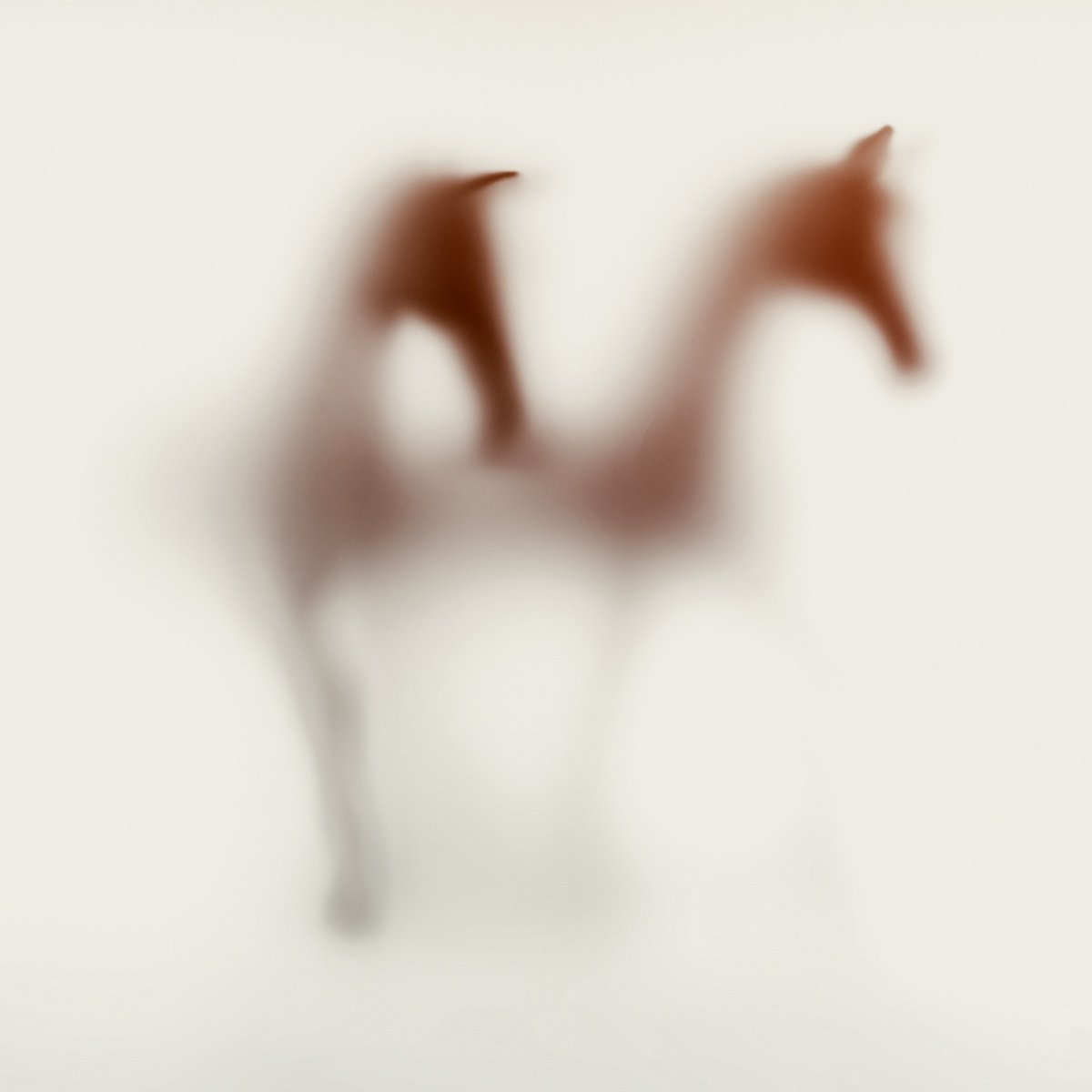 Abstract Animal Photograph By Sven Pfrommer, 39 X 39", Wild Lens - Horses Xv, Original Artwork